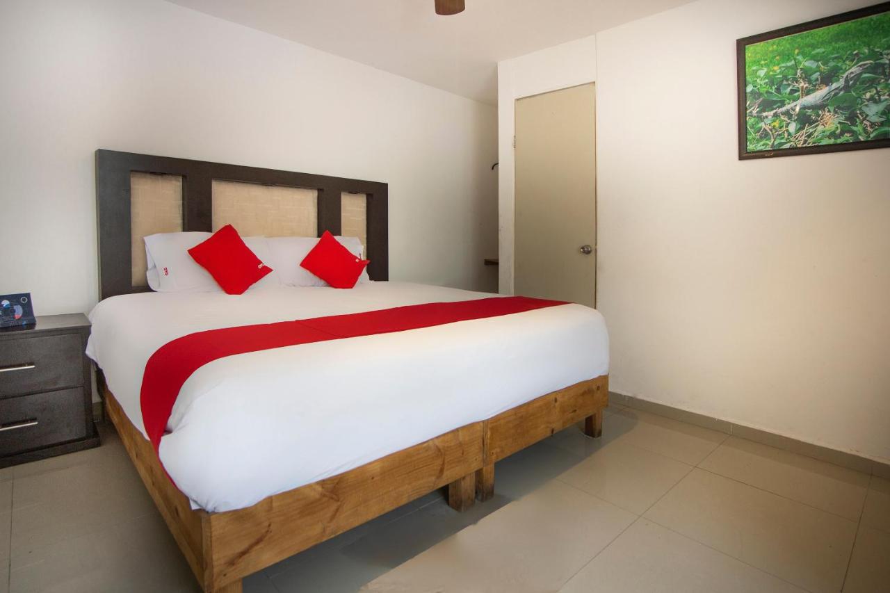 Hotel Mahu Monterrey Extérieur photo