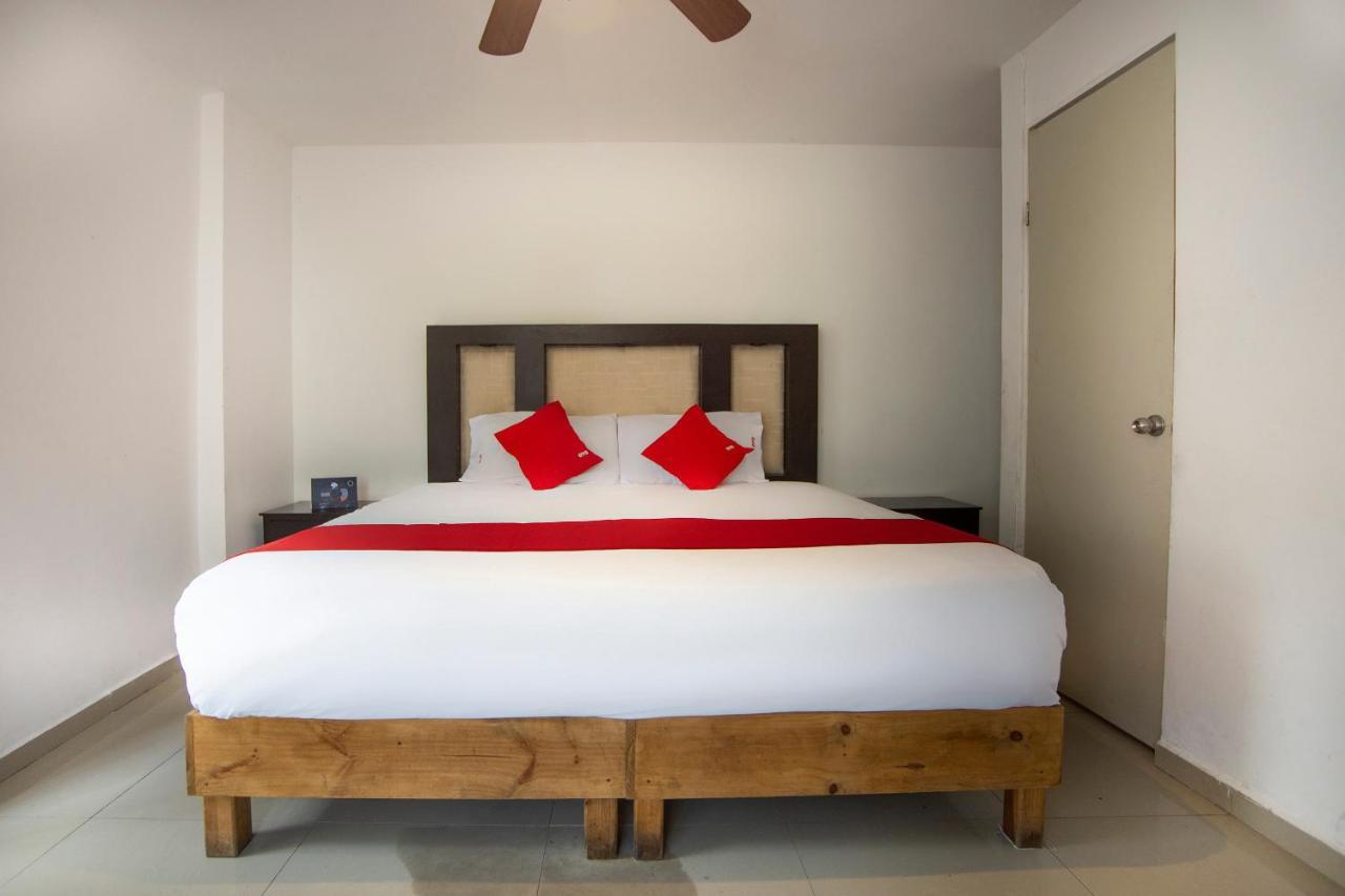 Hotel Mahu Monterrey Extérieur photo